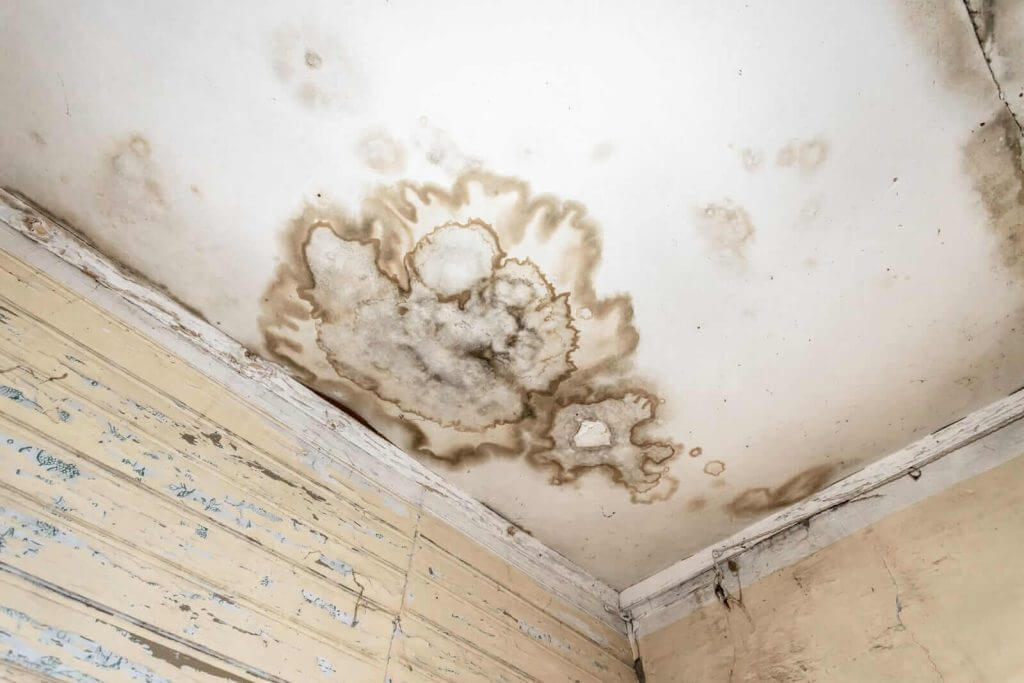 A room with mold on the ceiling.