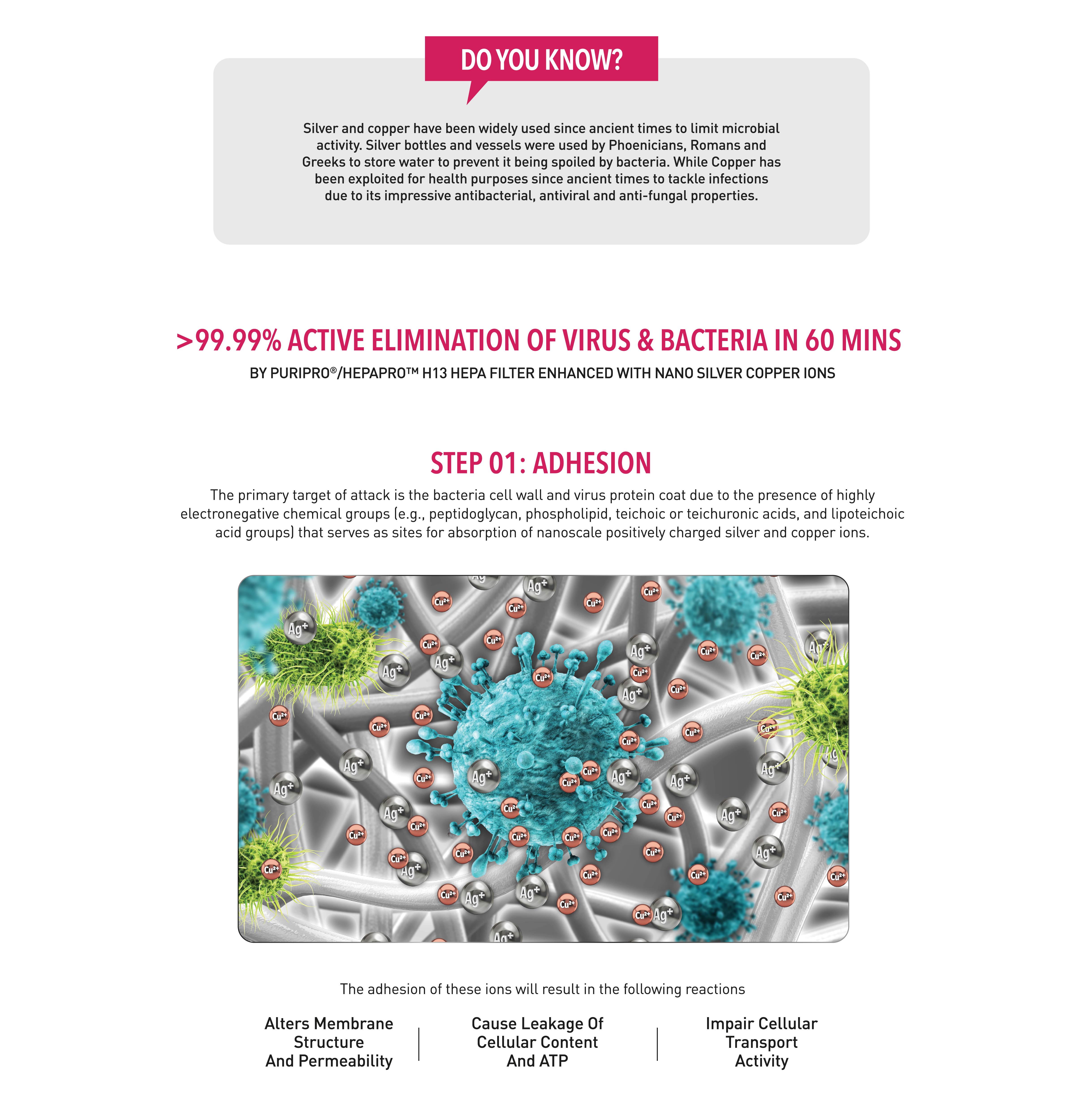 Responsive image