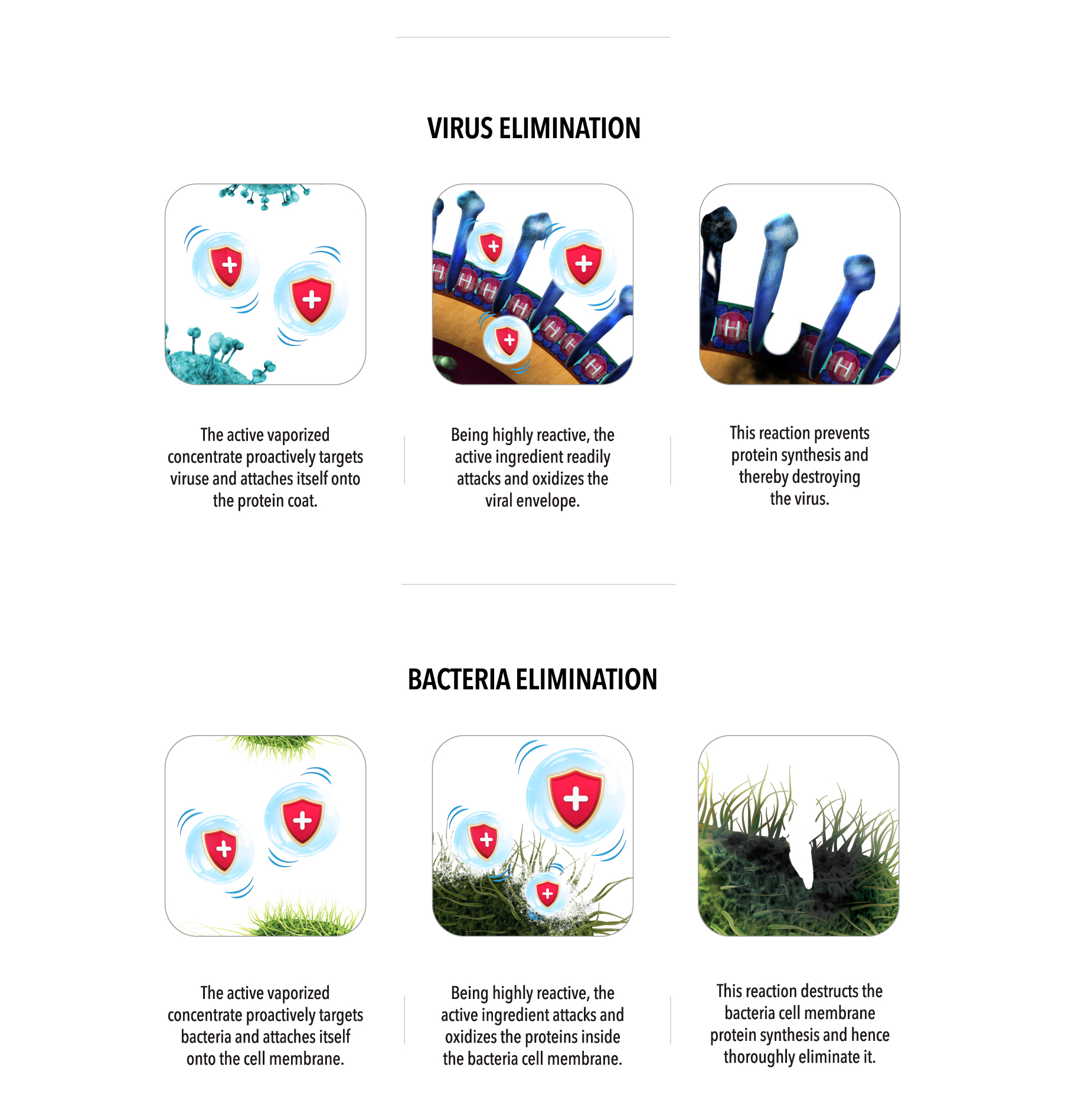 Responsive image