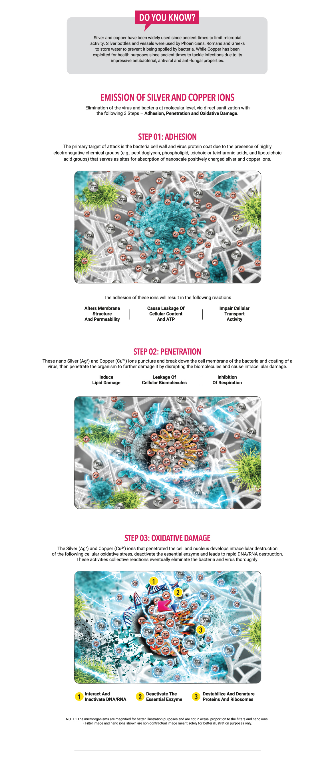 Responsive image