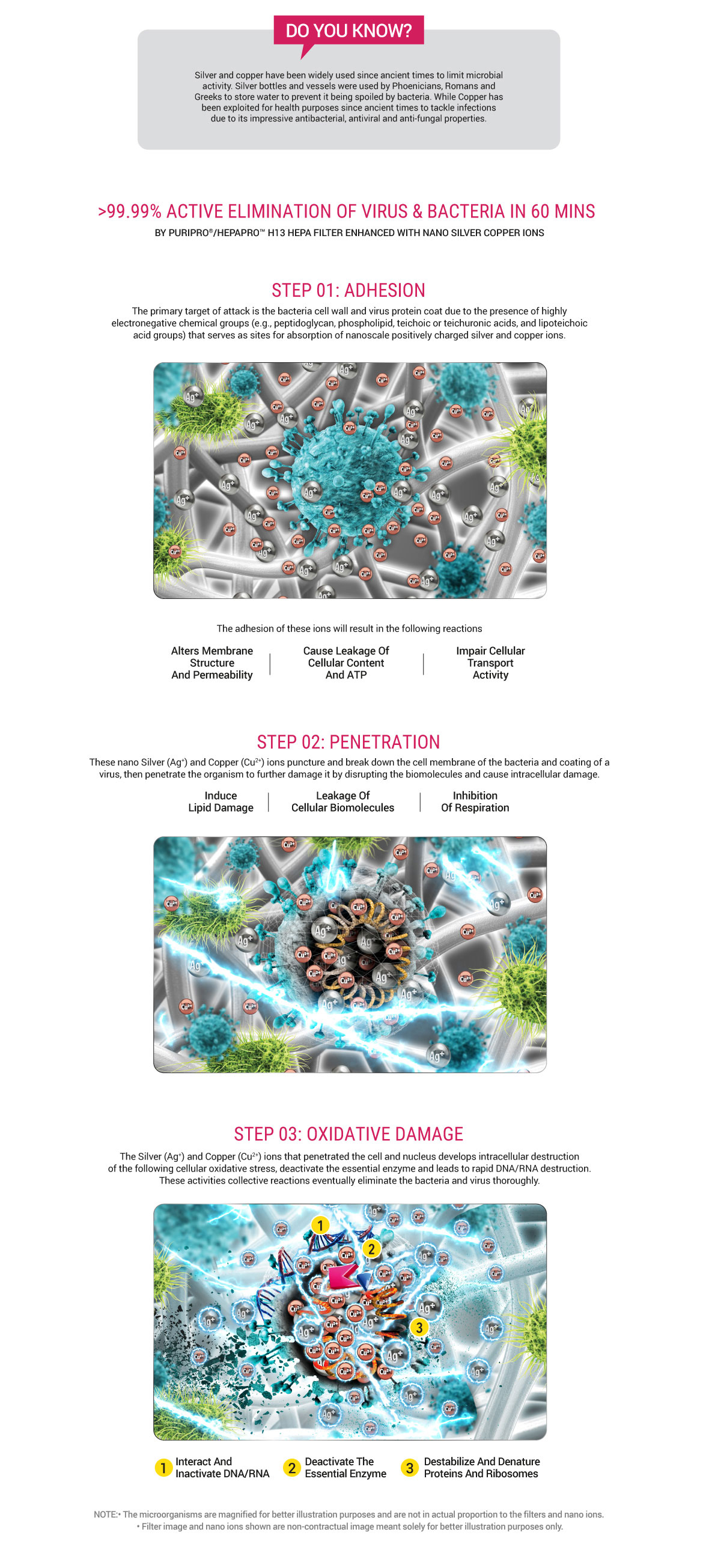 Responsive image