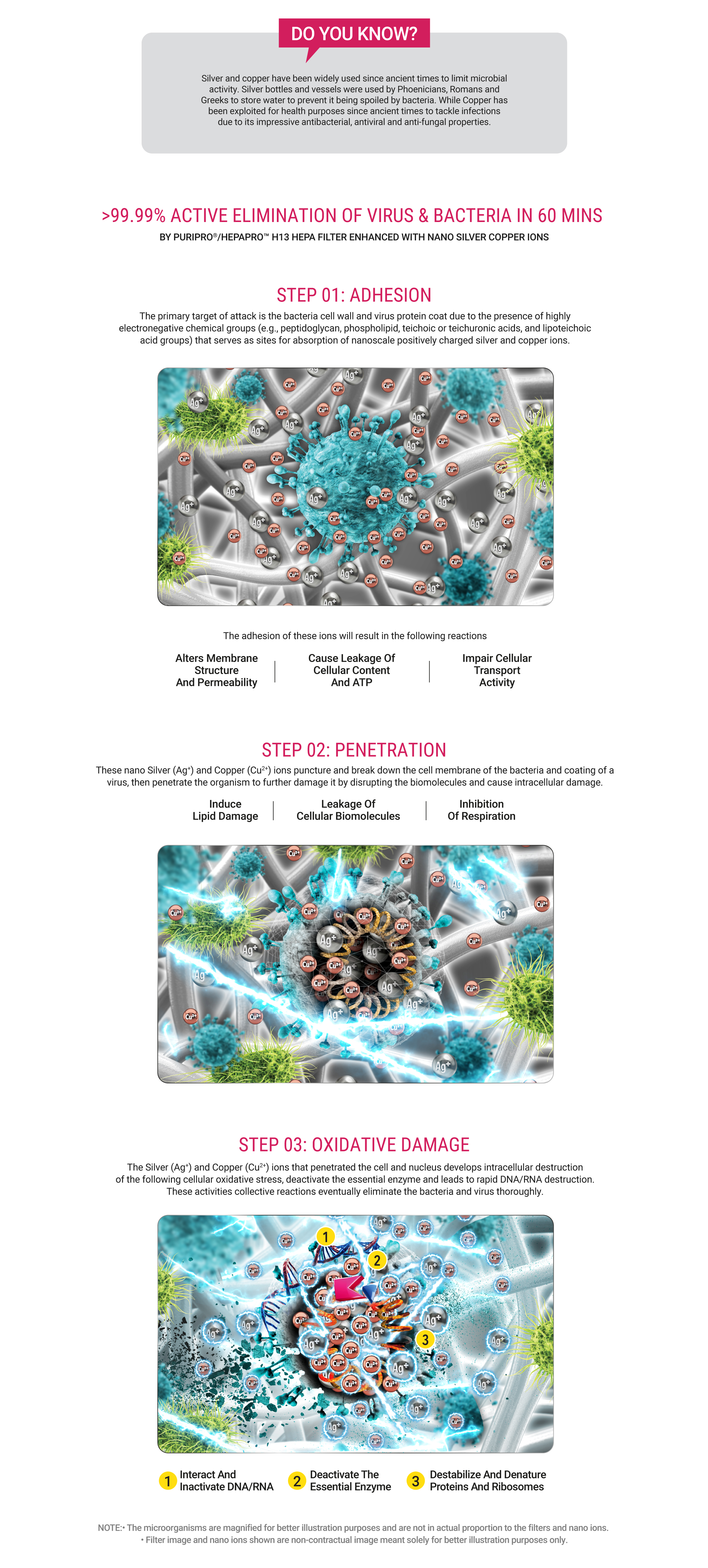 Responsive image
