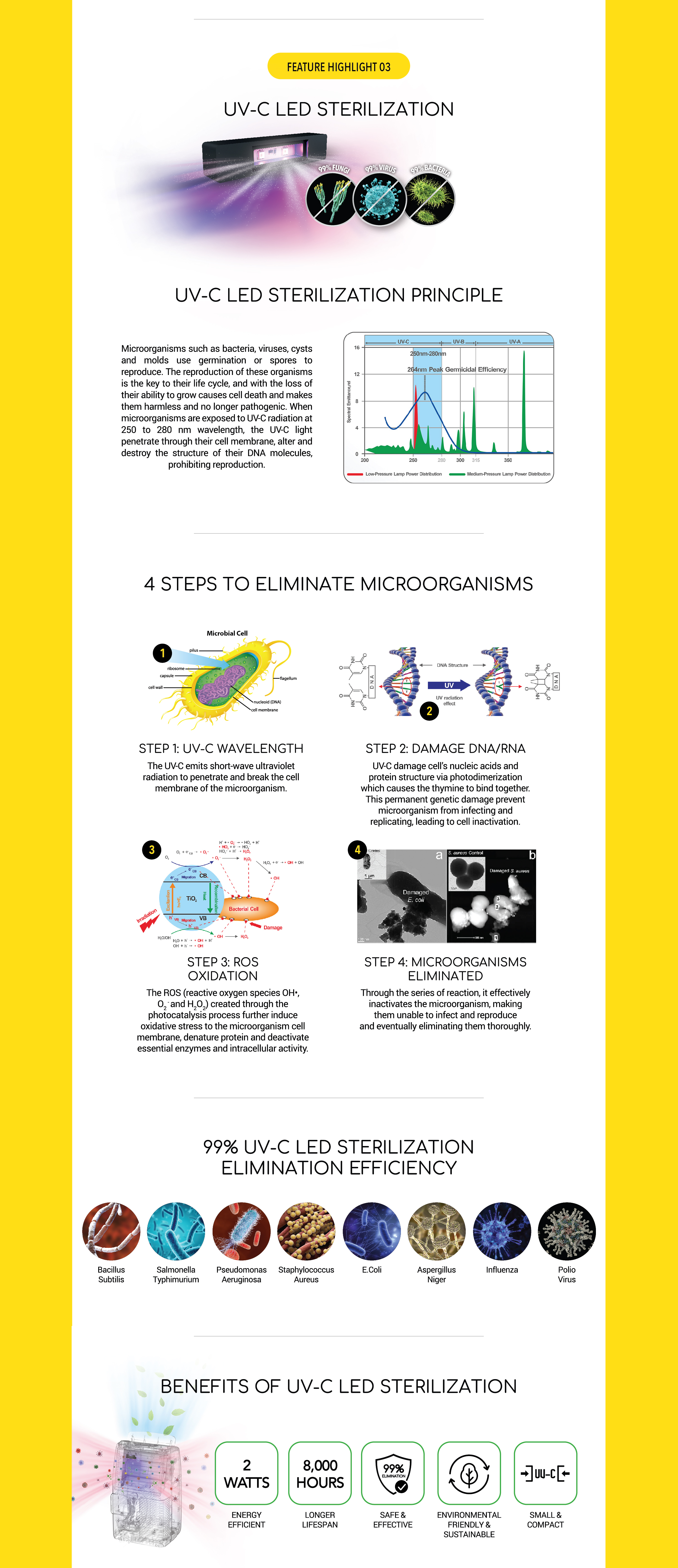 Responsive image