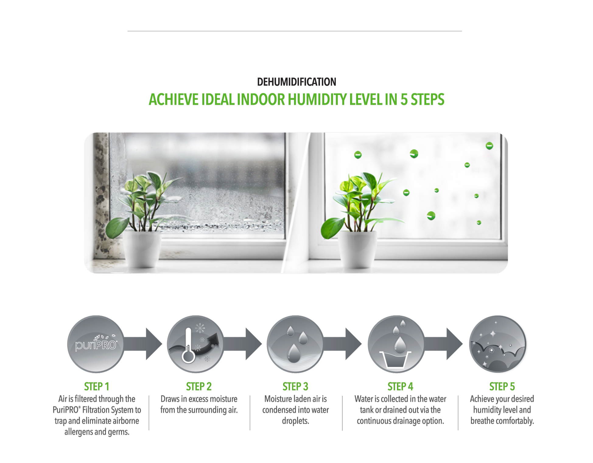 Responsive image