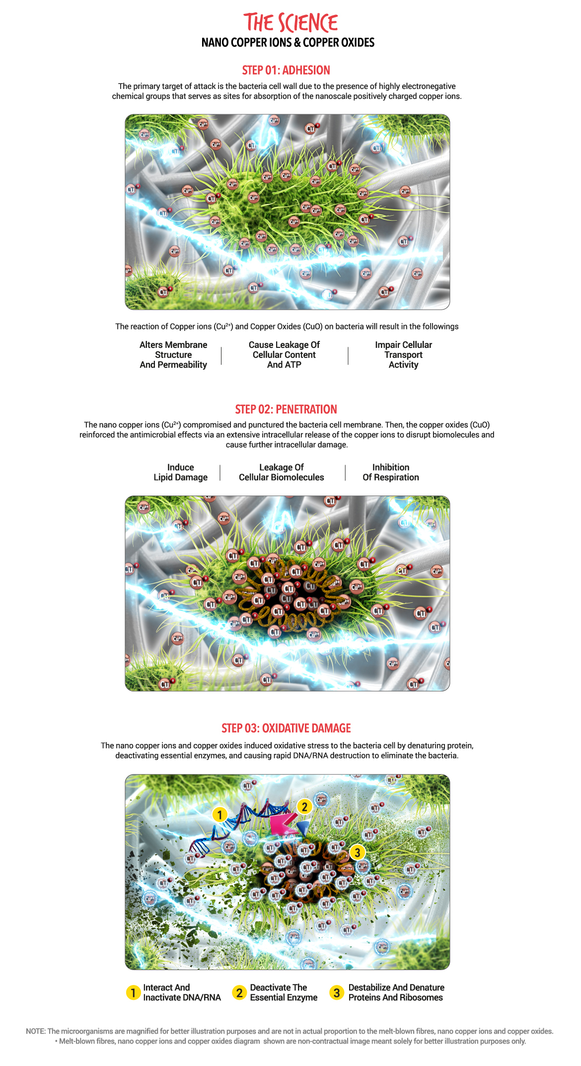 Responsive image